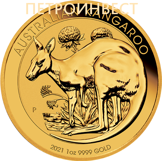 картинка Набор из 10 монет: Aвстралийский Кенгуру (Наггет) (100 Dollars); 1oz; 2012-2021 от Пестроинвест