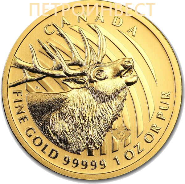 картинка Ревущий Олень (200 dollars), сертификат, "Зов природы"; 2017; 1oz от Пестроинвест