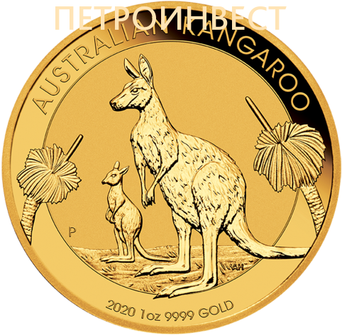 картинка Aвстралийский Кенгуру (Наггет) (100 Dollars); 1oz; 2020 от Пестроинвест